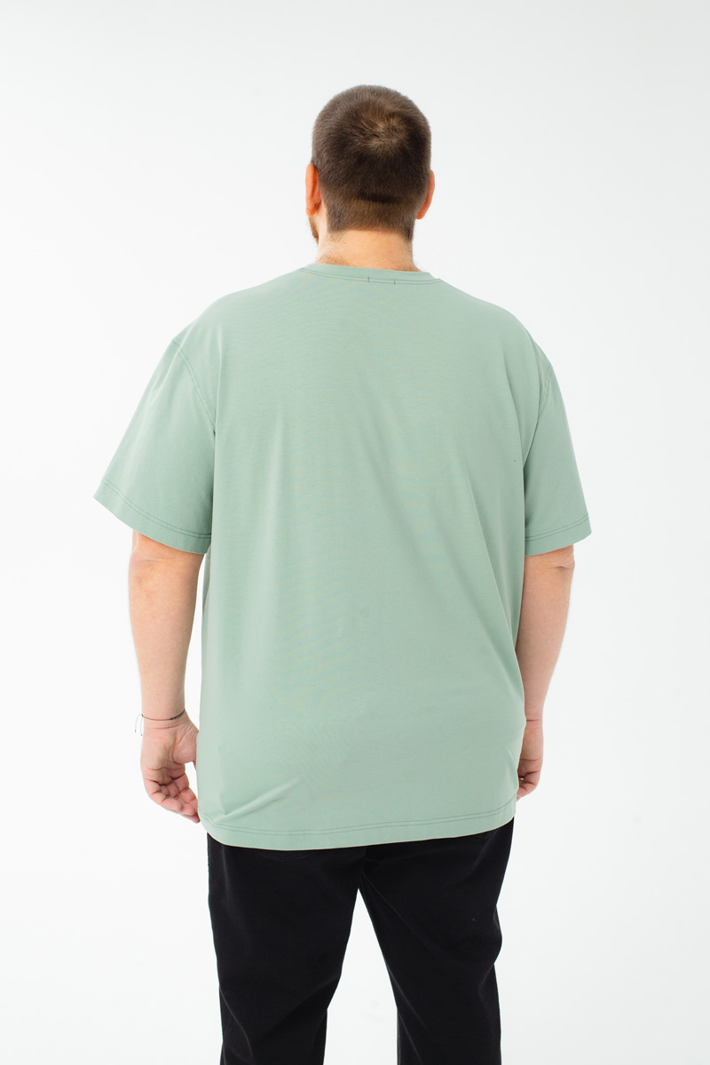 Футболка мужская мужская больших размеров, арт 4080/25/75 