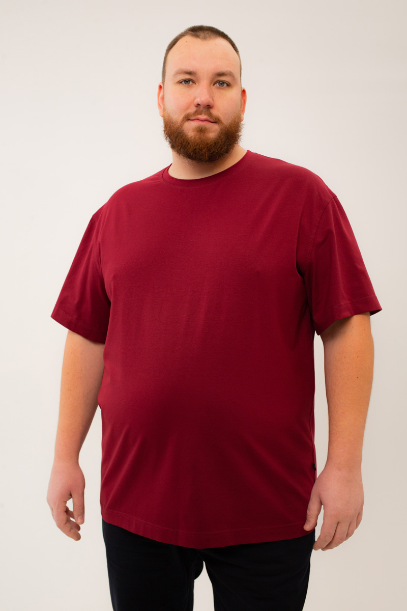 Футболка мужская мужская больших размеров, арт 4080/6 