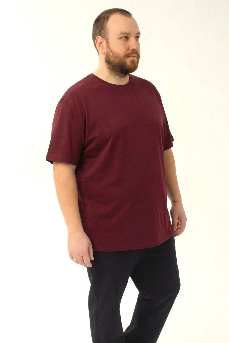 Футболка мужская мужская больших размеров, арт 4080/69 