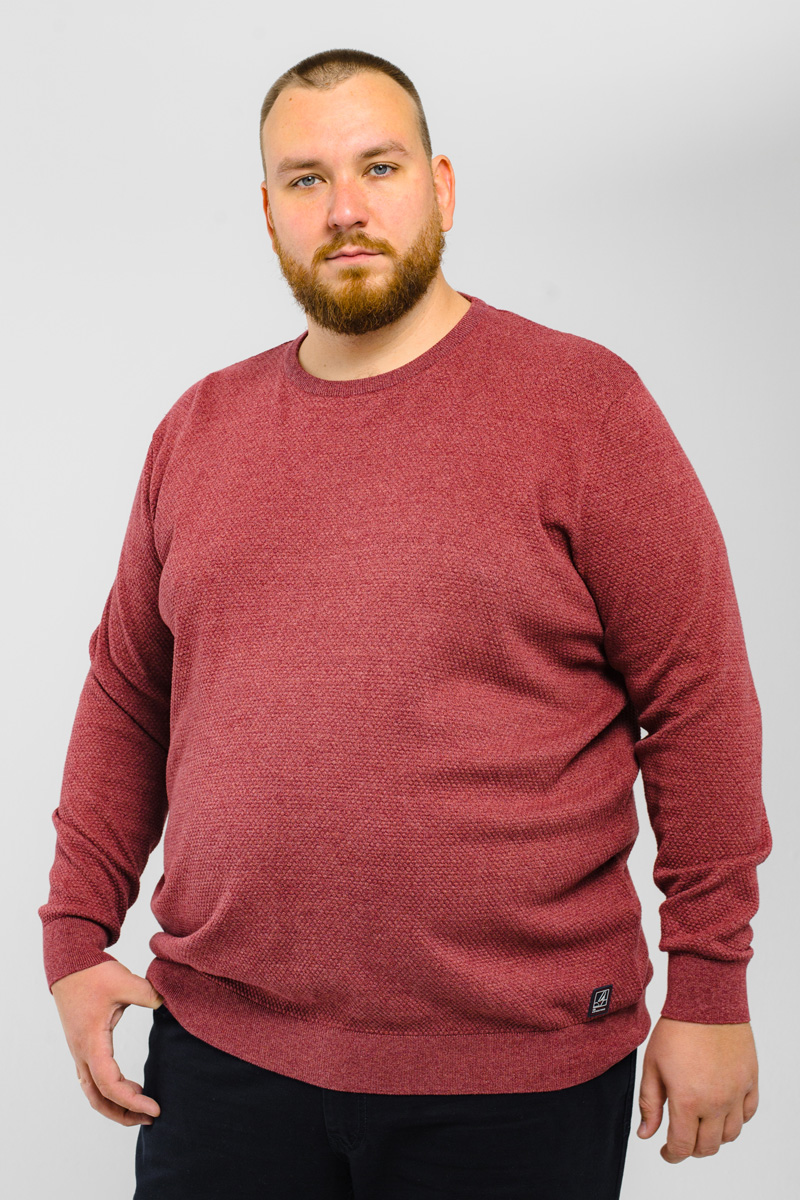 Джемпер CasaModa мужской