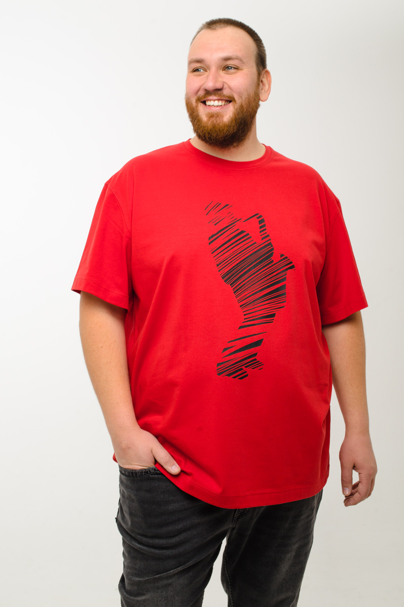 Футболка мужская мужская больших размеров, арт 4080/15/44 