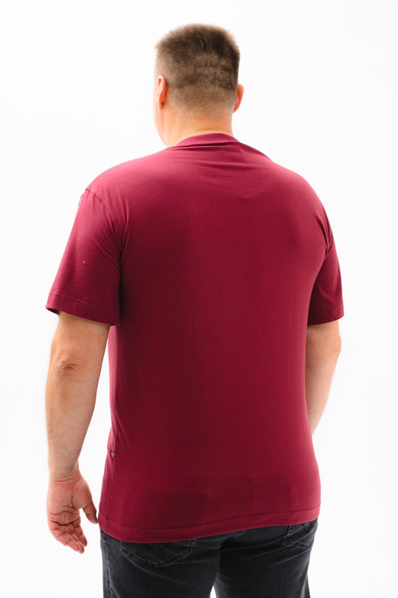 Футболка мужская мужская борльшого размера, арт 4071/6