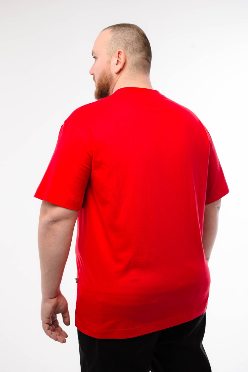 Футболка мужская мужская борльшого размера, арт 4070/15
