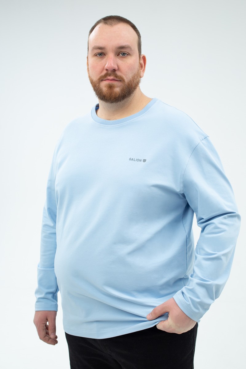 Лонгслив мужской мужская большого размера с длинными рукавами, арт 40419/8 