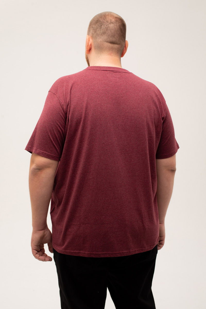 Футболка CasaModa мужская мужская больших размеров, арт 954383900/420 