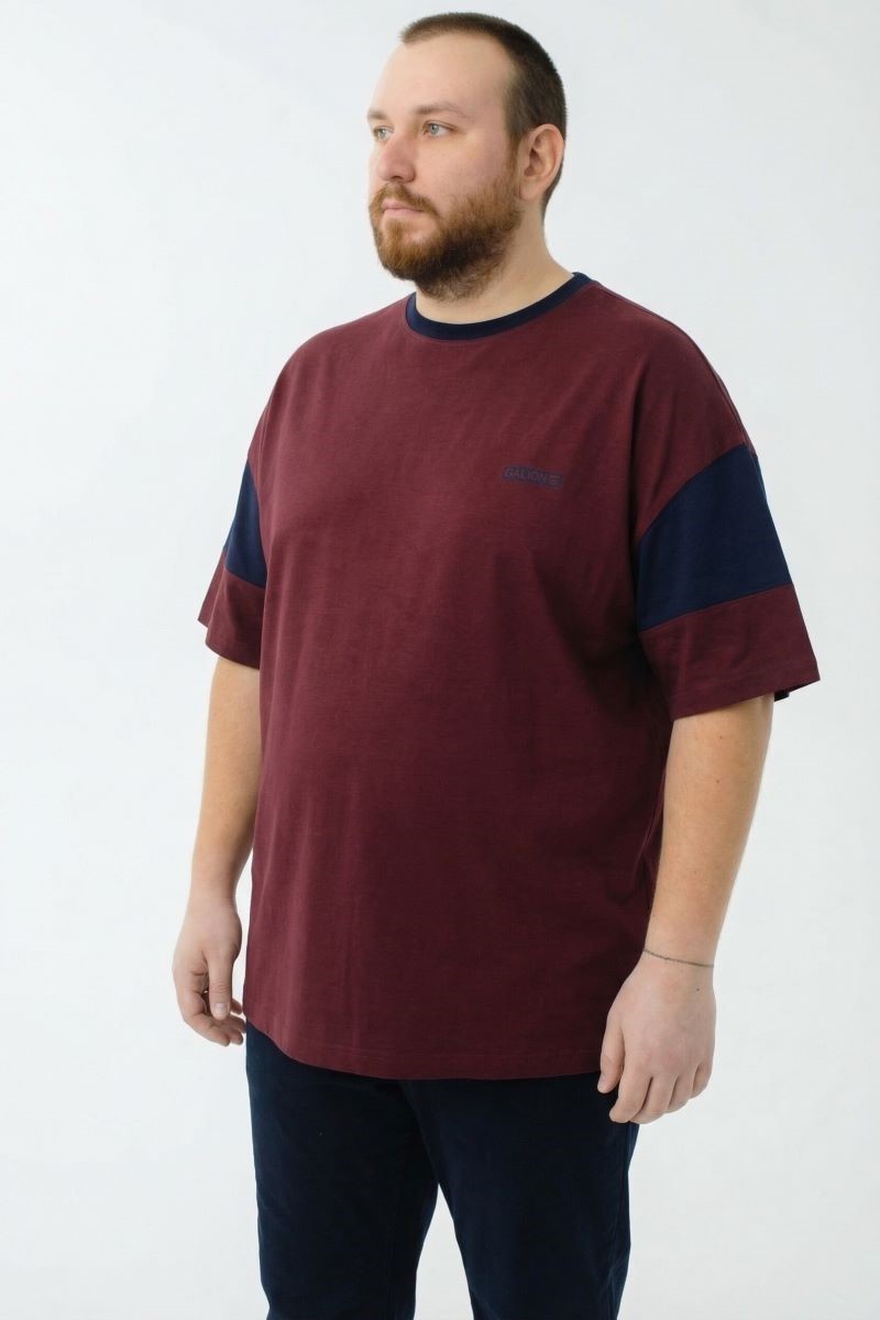 Футболка мужская мужская больших размеров, арт 40431/1 