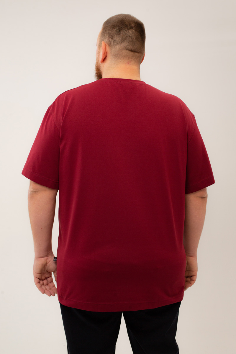 Футболка мужская мужская больших размеров, арт 4080/6 