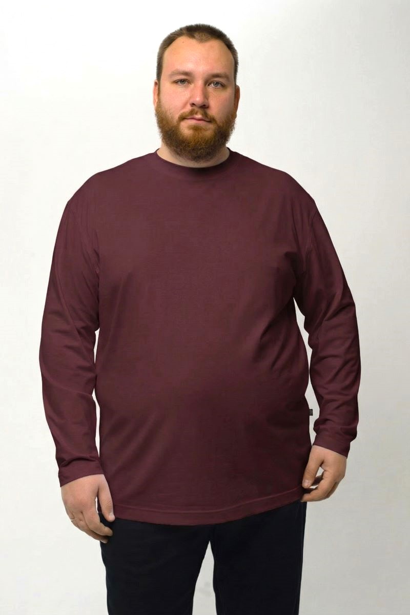 Лонгслив мужской мужская борльшого размера, арт 40140/6