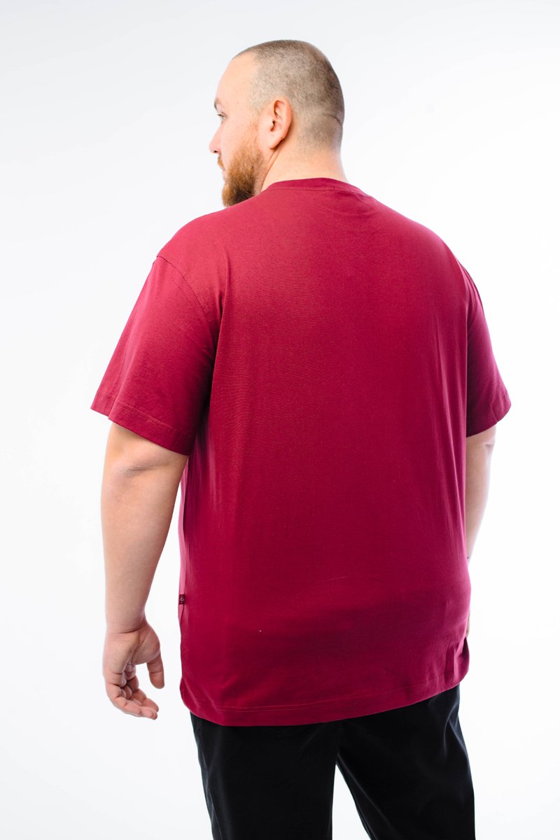 Футболка мужская мужская борльшого размера, арт 4070/6