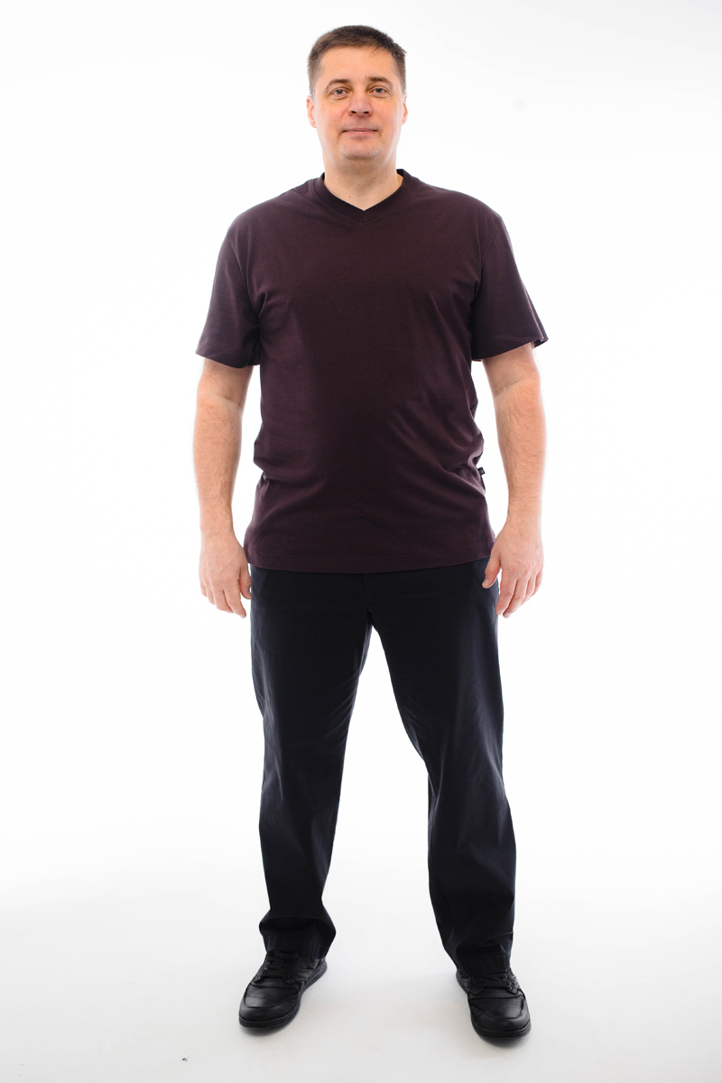 Футболка мужская мужская борльшого размера, арт 4071/18