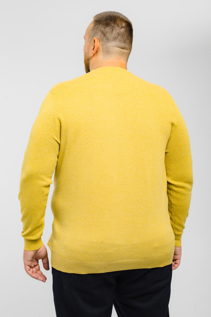 Джемпер CasaModa мужской