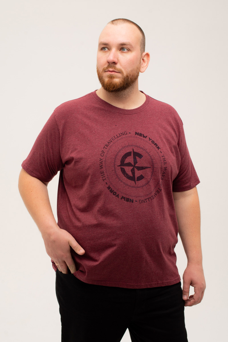 Футболка CasaModa мужская мужская больших размеров, арт 954383900/420 