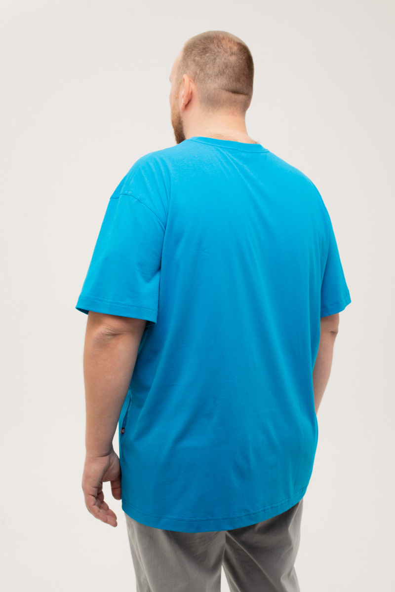 Футболка мужская мужская борльшого размера, арт 4070/19