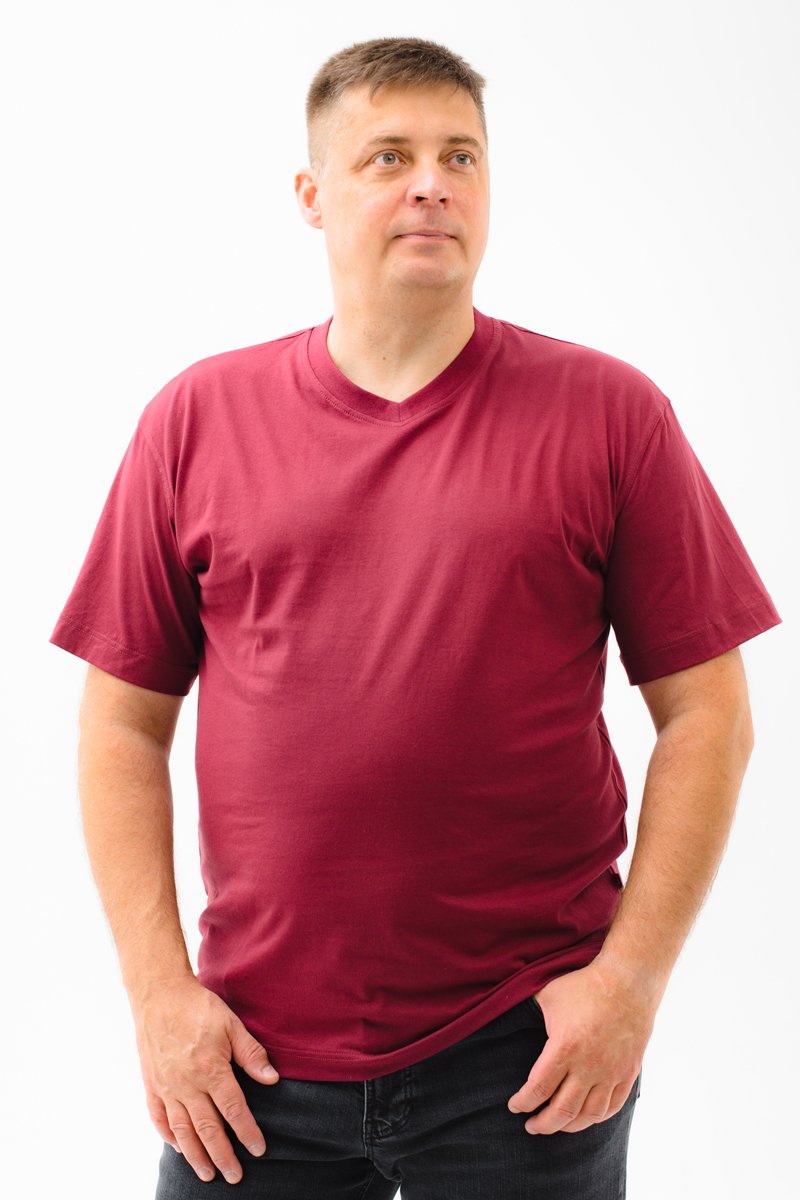 Футболка мужская мужская борльшого размера, арт 4071/6