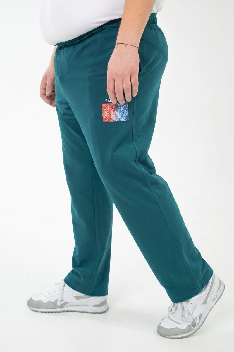 Брюки спортивные