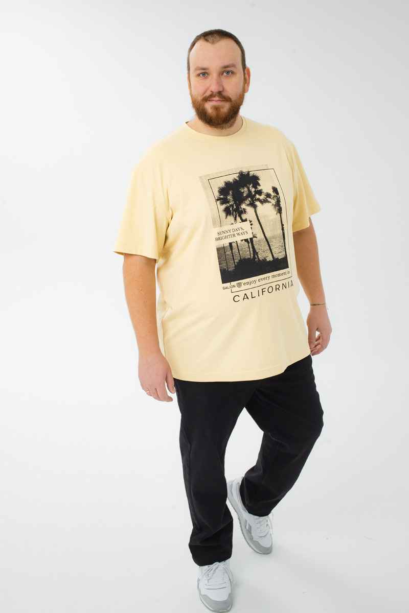 Футболка мужская мужская больших размеров, арт 4080/36/71 