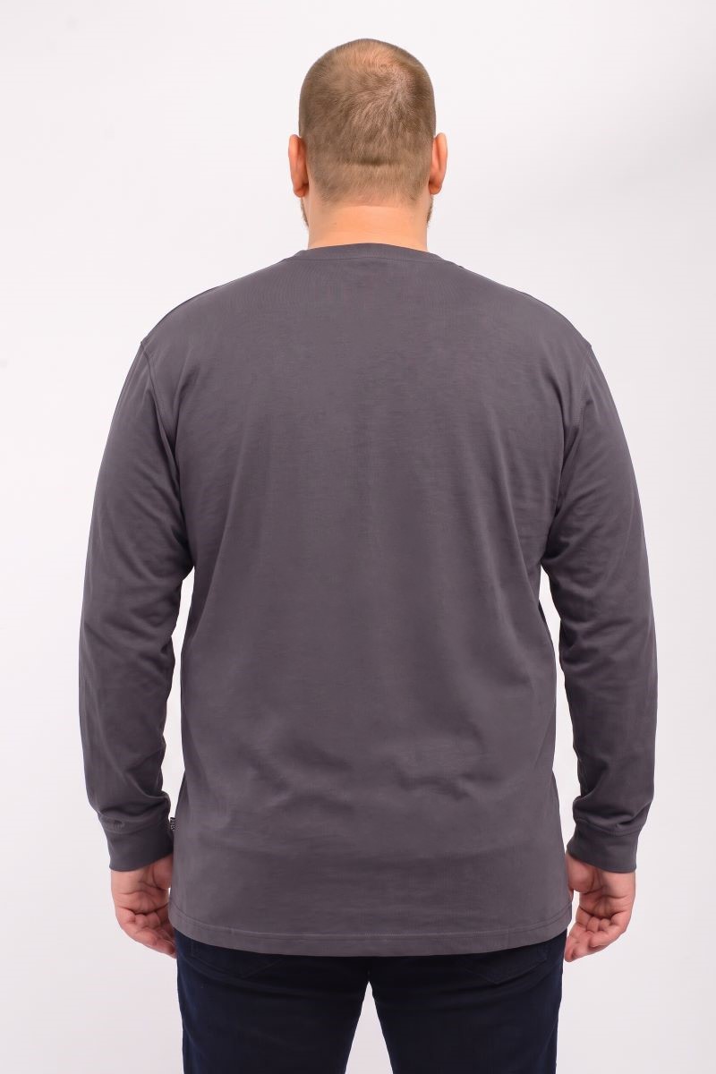 Лонгслив мужской мужская борльшого размера, арт 40420/2/99