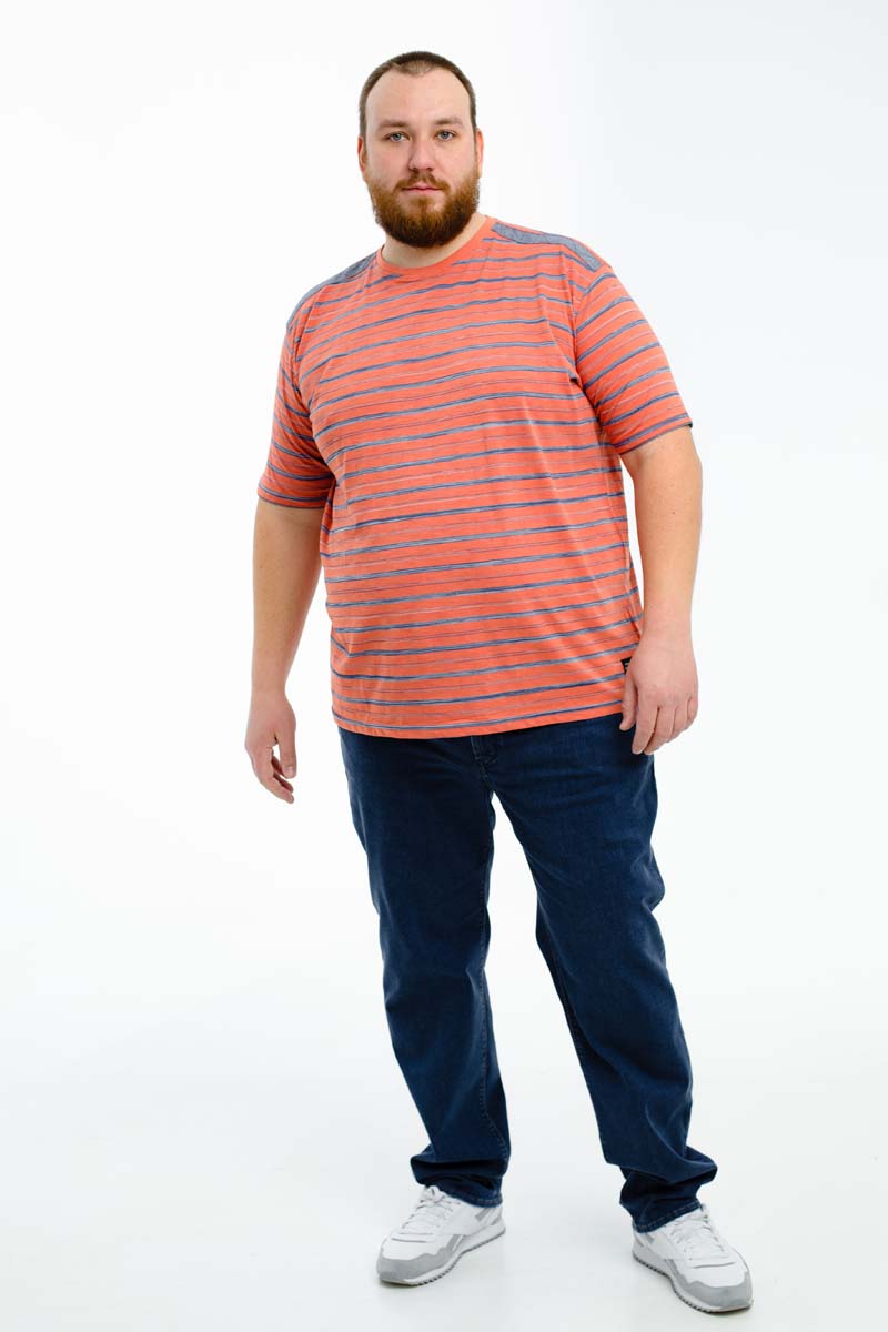 Футболка PIONEER мужская мужская борльшого размера, арт 2000/3710