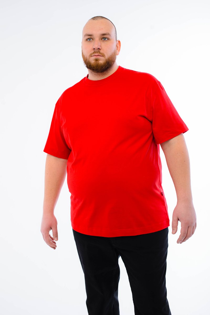 Футболка мужская мужская борльшого размера, арт 4070/15