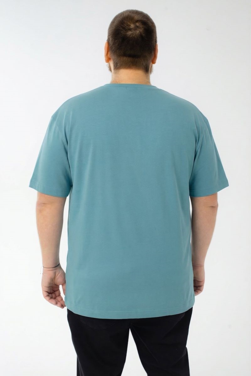 Футболка мужская мужская больших размеров, арт 4080/35/72 