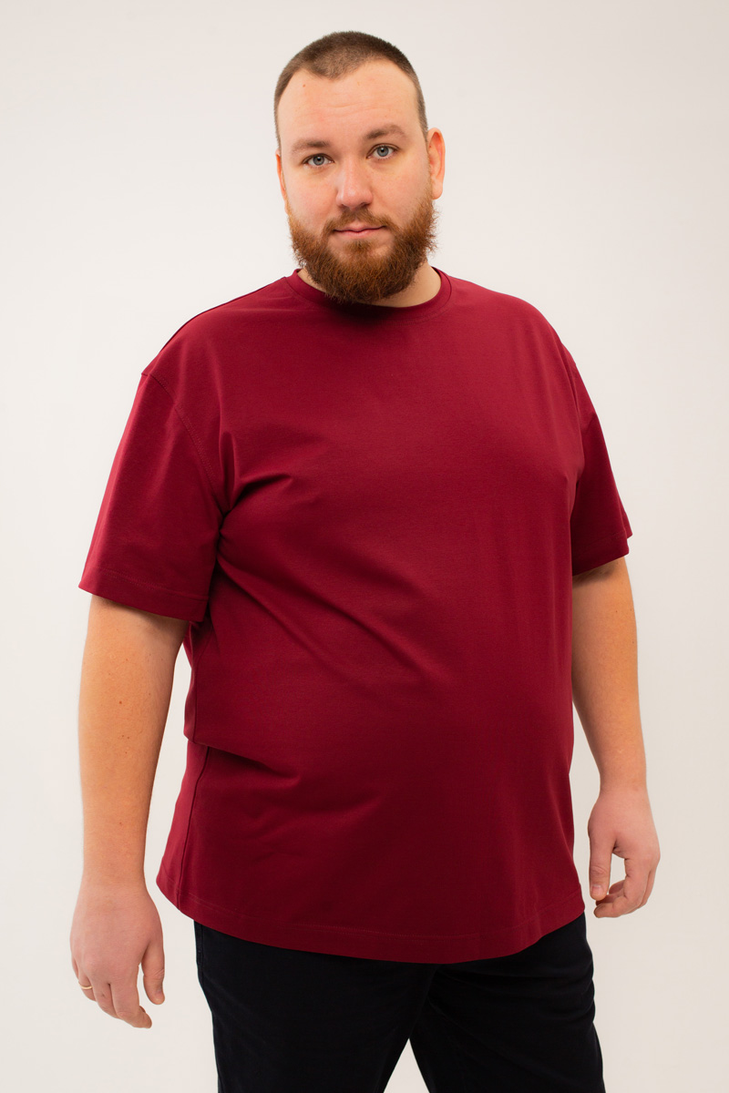 Футболка мужская мужская больших размеров, арт 4080/6 