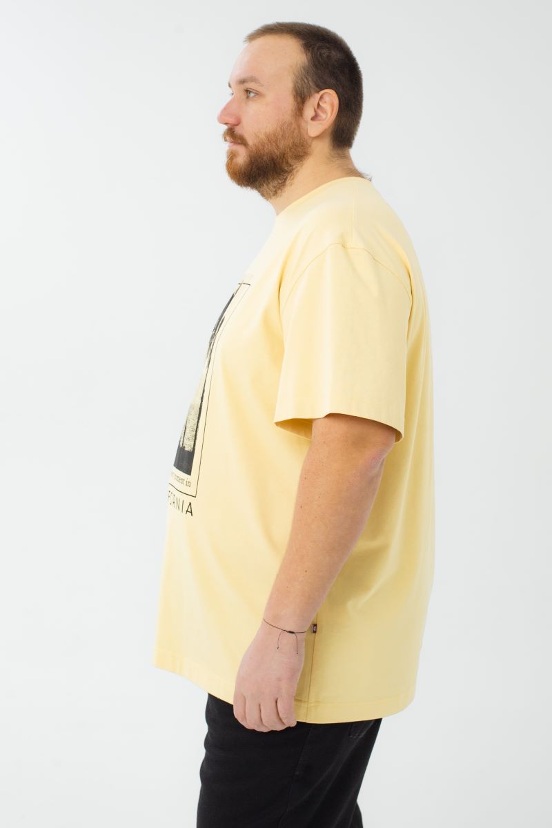 Футболка мужская мужская больших размеров, арт 4080/36/71 