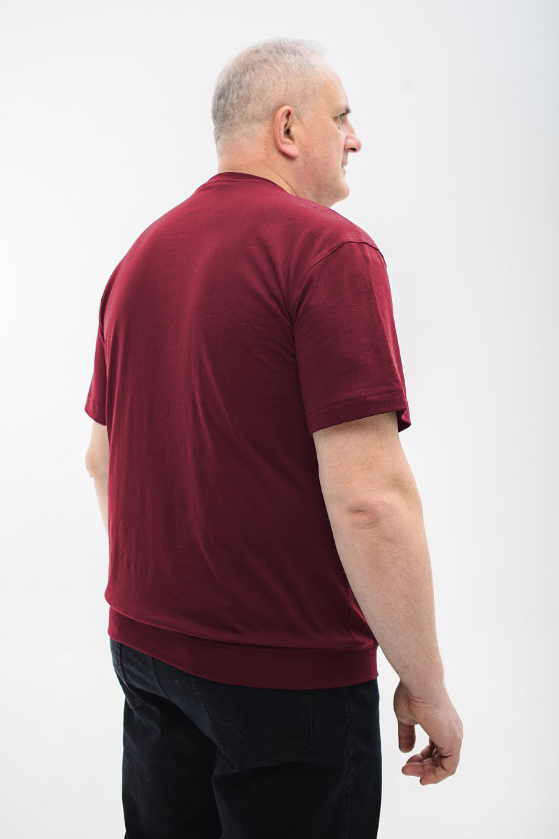 Футболка мужская мужская больших размеров, арт 40360/6 
