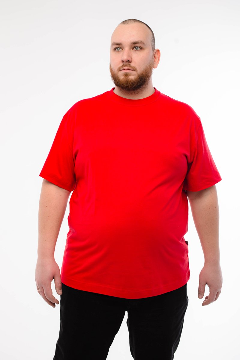 Футболка мужская мужская борльшого размера, арт 4070/15