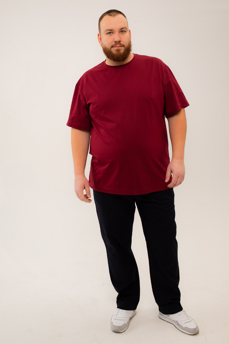 Футболка мужская мужская больших размеров, арт 4080/6 