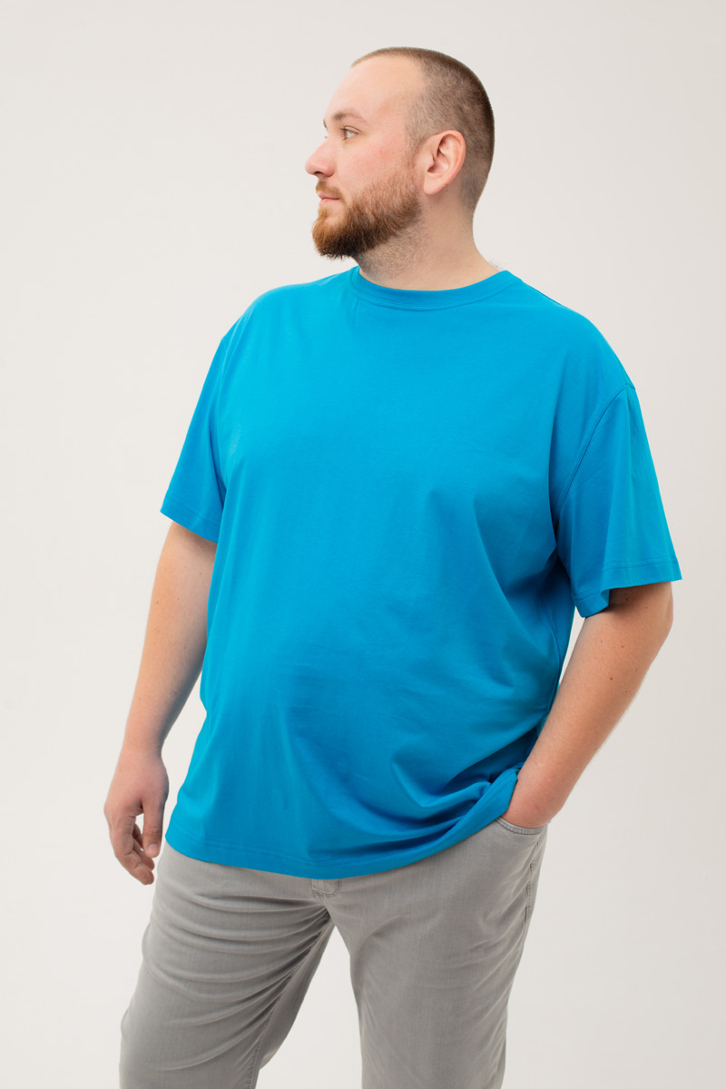 Футболка мужская мужская борльшого размера, арт 4070/19