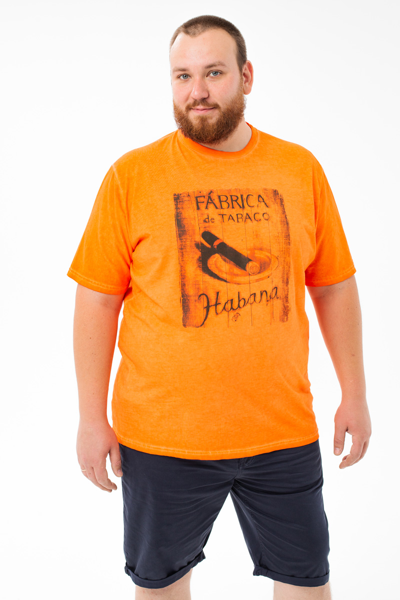 Футболка MAXFORT мужская мужская борльшого размера, арт 39420310