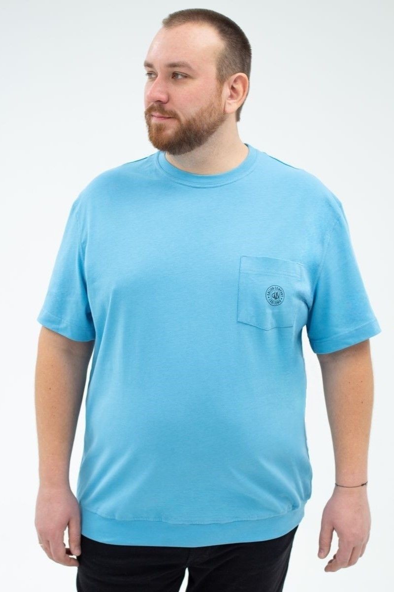 Футболка мужская мужская больших размеров, арт 40360/8 