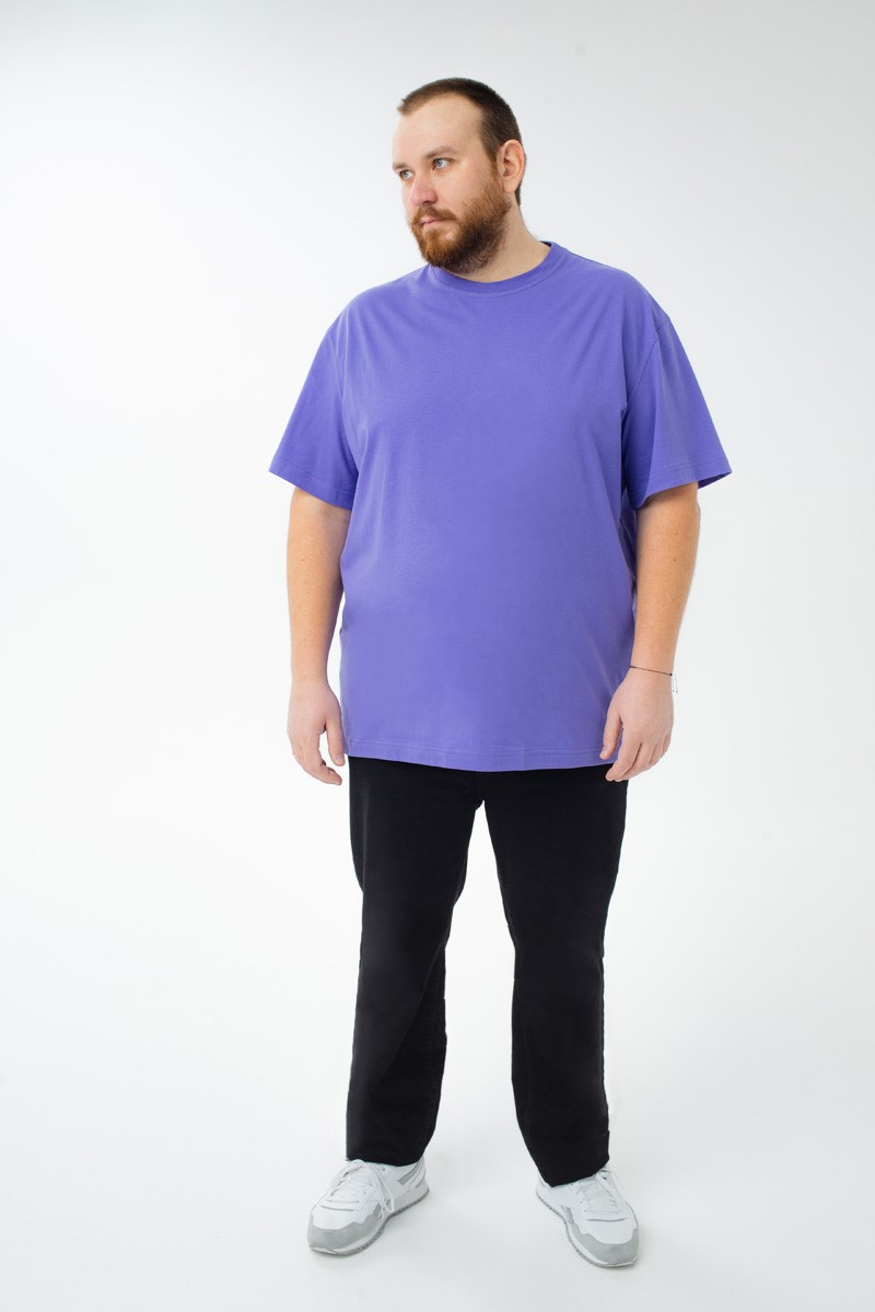 Футболка мужская мужская больших размеров, арт 4070/34 