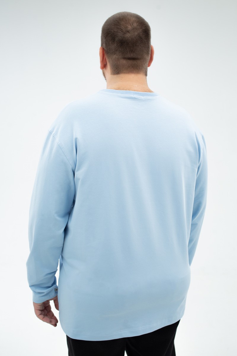 Лонгслив мужской мужская большого размера с длинными рукавами, арт 40419/8 