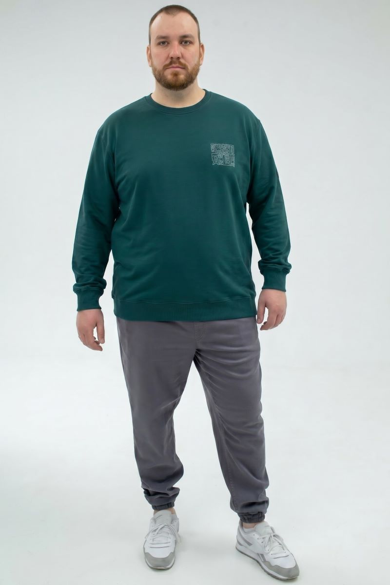 Толстовка мужская