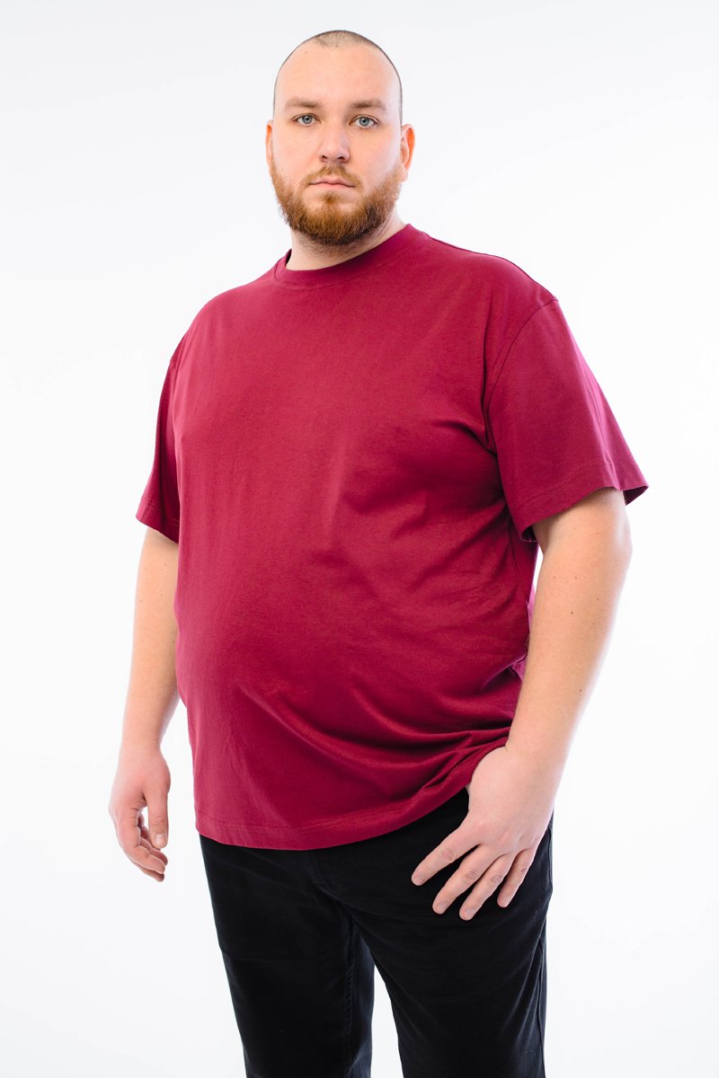 Футболка мужская мужская борльшого размера, арт 4070/6