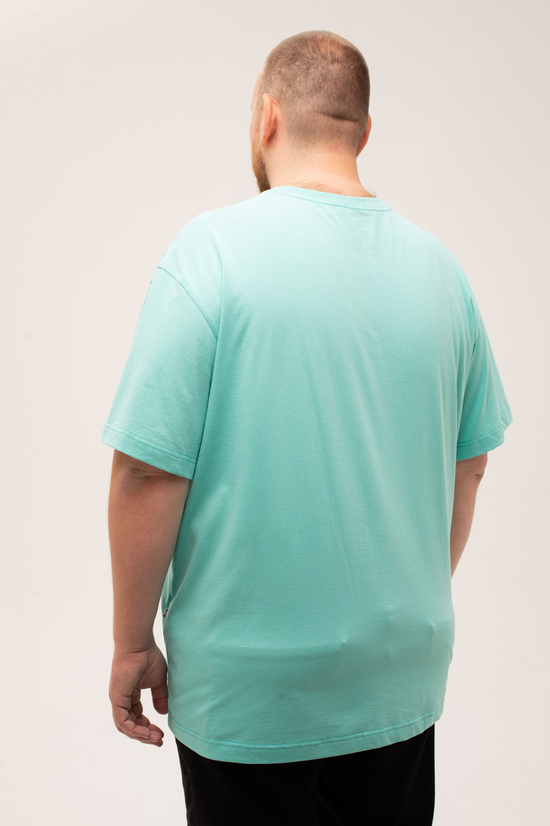 Футболка мужская мужская больших размеров, арт 4070/28 