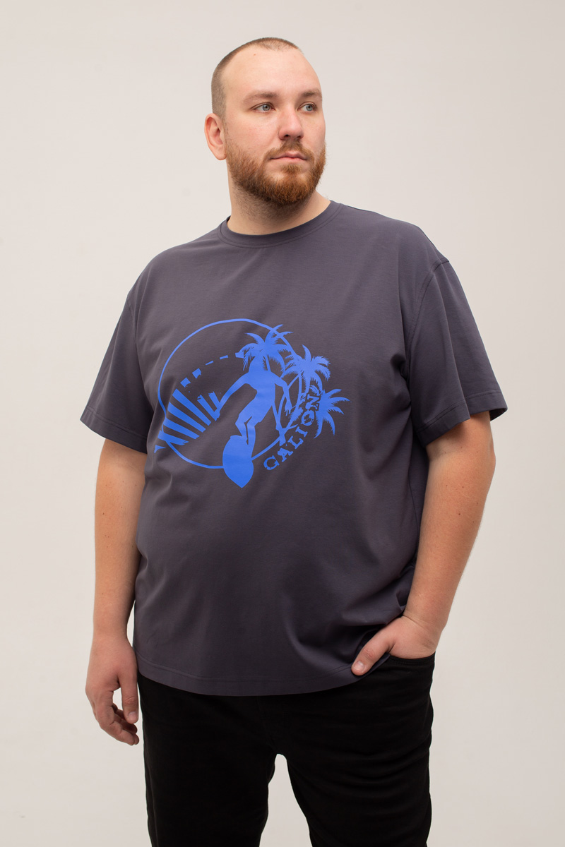 Футболка мужская мужская больших размеров, арт 4080/2/47 