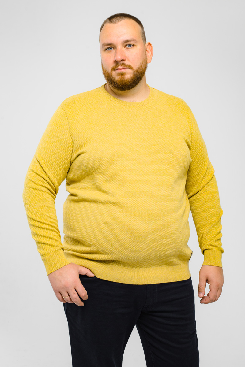 Джемпер CasaModa мужской