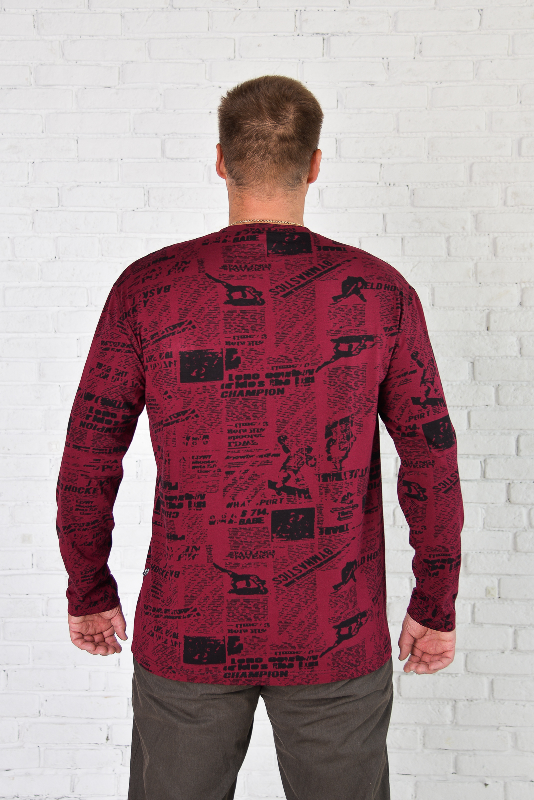 Футболка мужская борльшого размера, арт 40294 