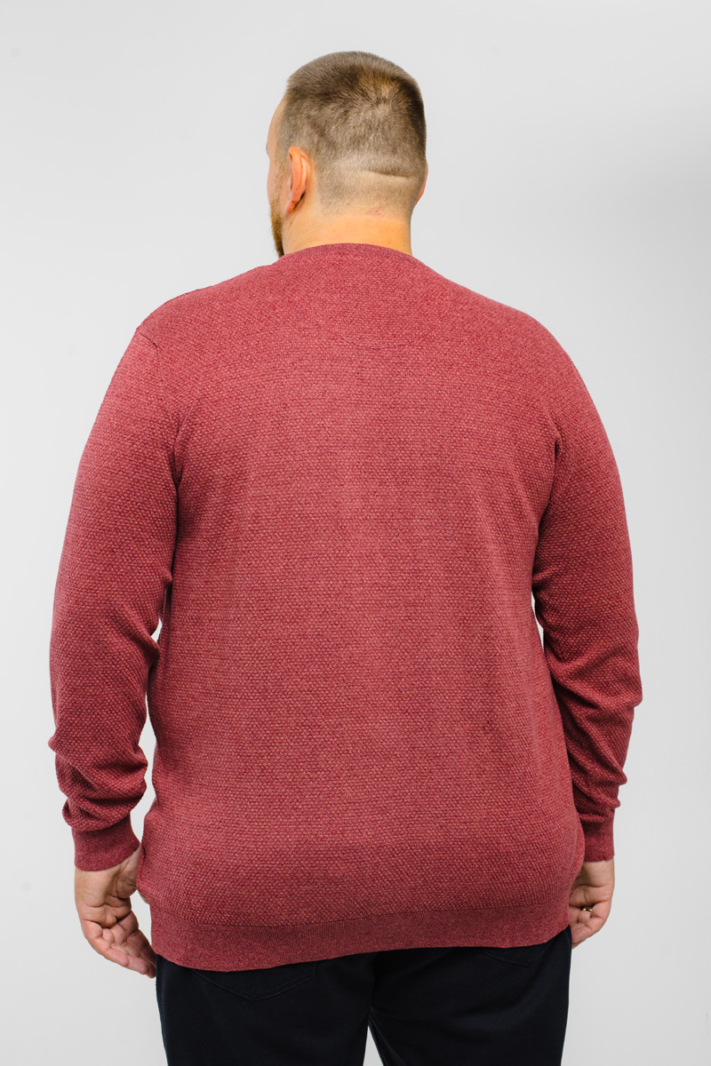 Джемпер CasaModa мужской