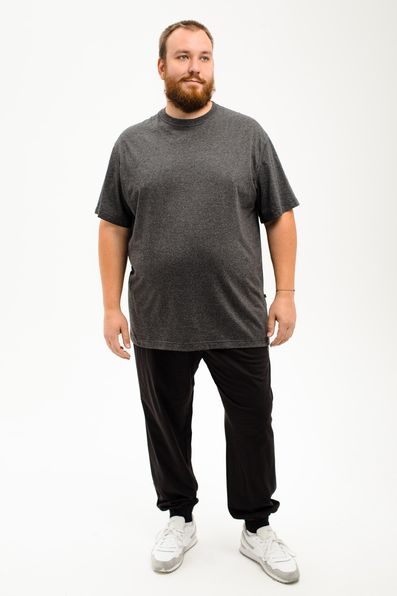 Футболка мужская мужская борльшого размера, арт 4070/20