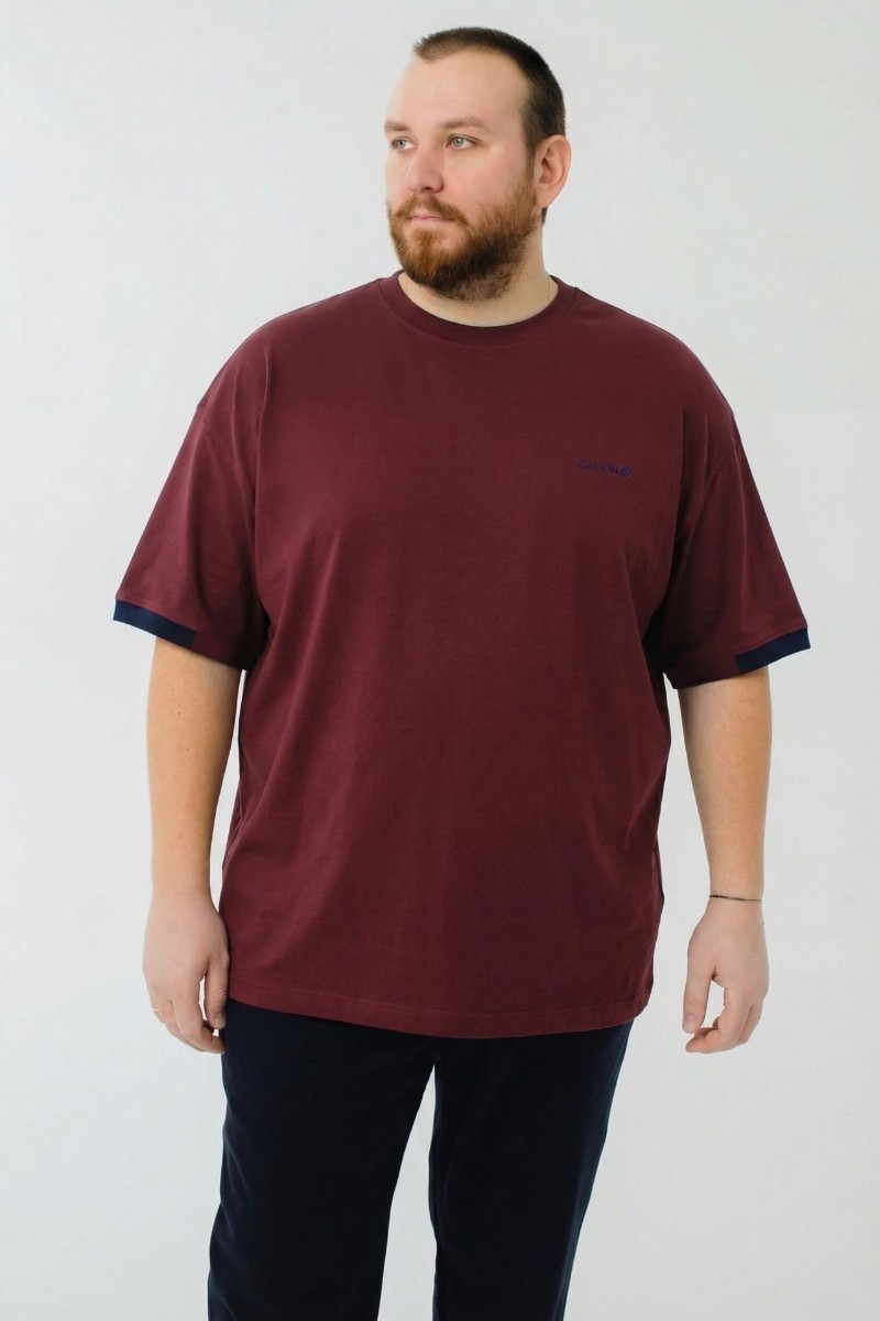 Футболка мужская мужская больших размеров, арт 40430/1 