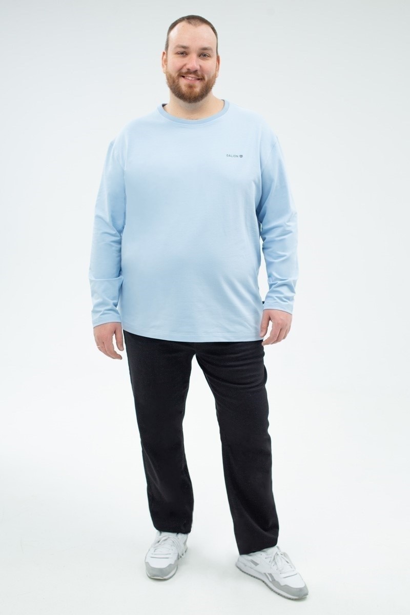 Лонгслив мужской мужская большого размера с длинными рукавами, арт 40419/8 
