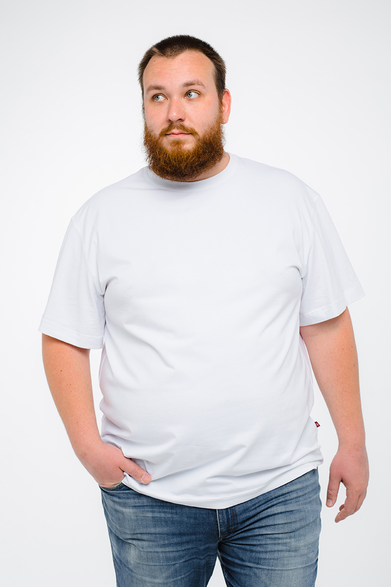 Футболка мужская мужская борльшого размера, арт 4070/14