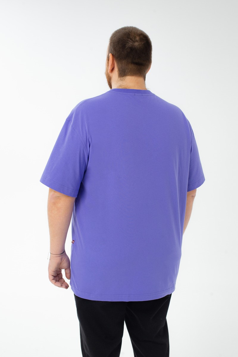 Футболка мужская мужская больших размеров, арт 4070/34 