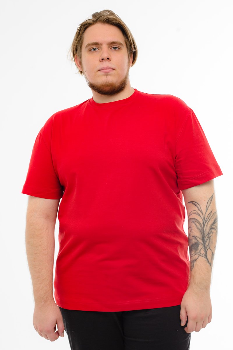Футболка мужская мужская борльшого размера, арт 4080/15