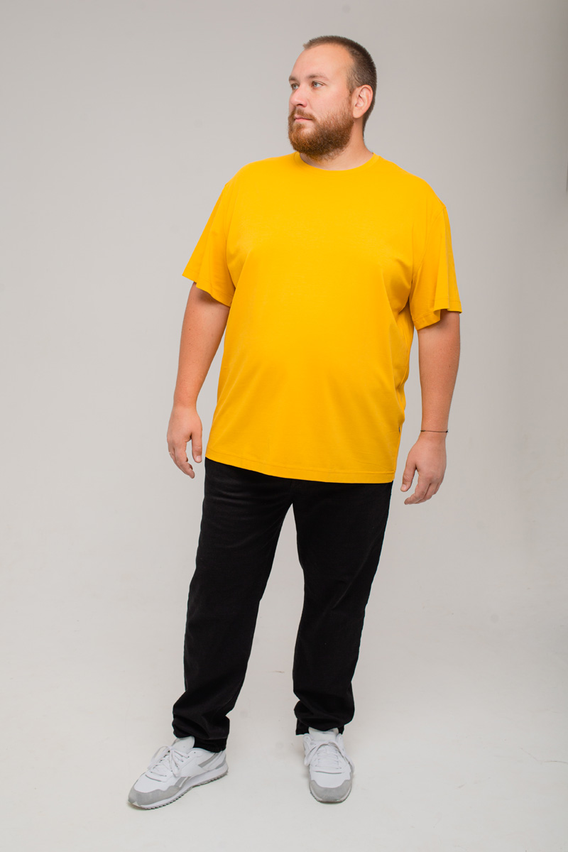 Футболка мужская мужская больших размеров, арт 4080/51 
