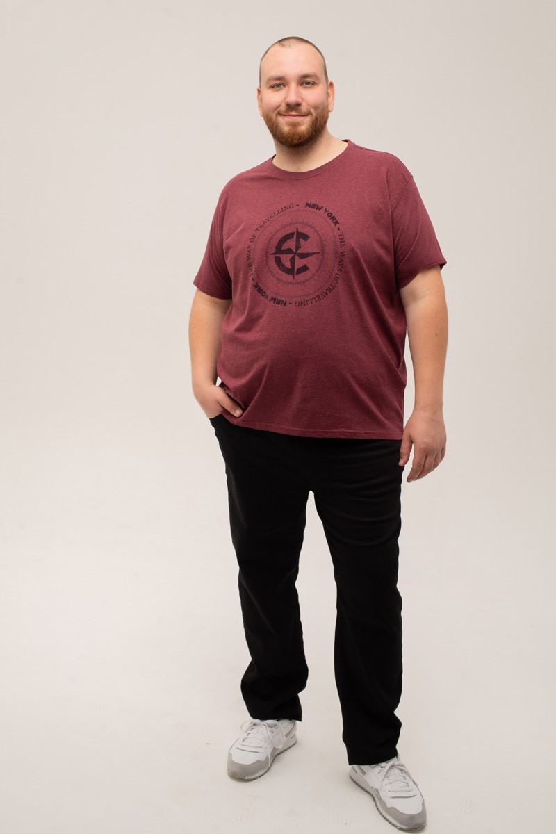 Футболка CasaModa мужская мужская больших размеров, арт 954383900/420 