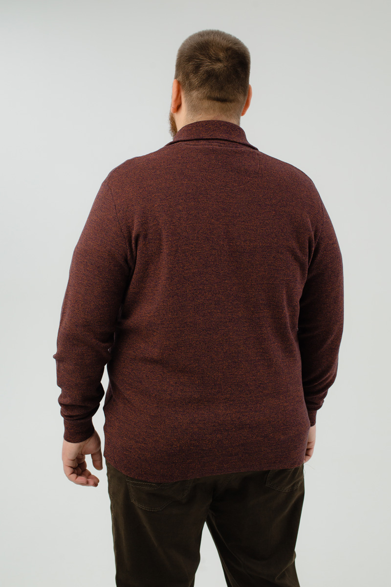 Джемпер CasaModa мужской 